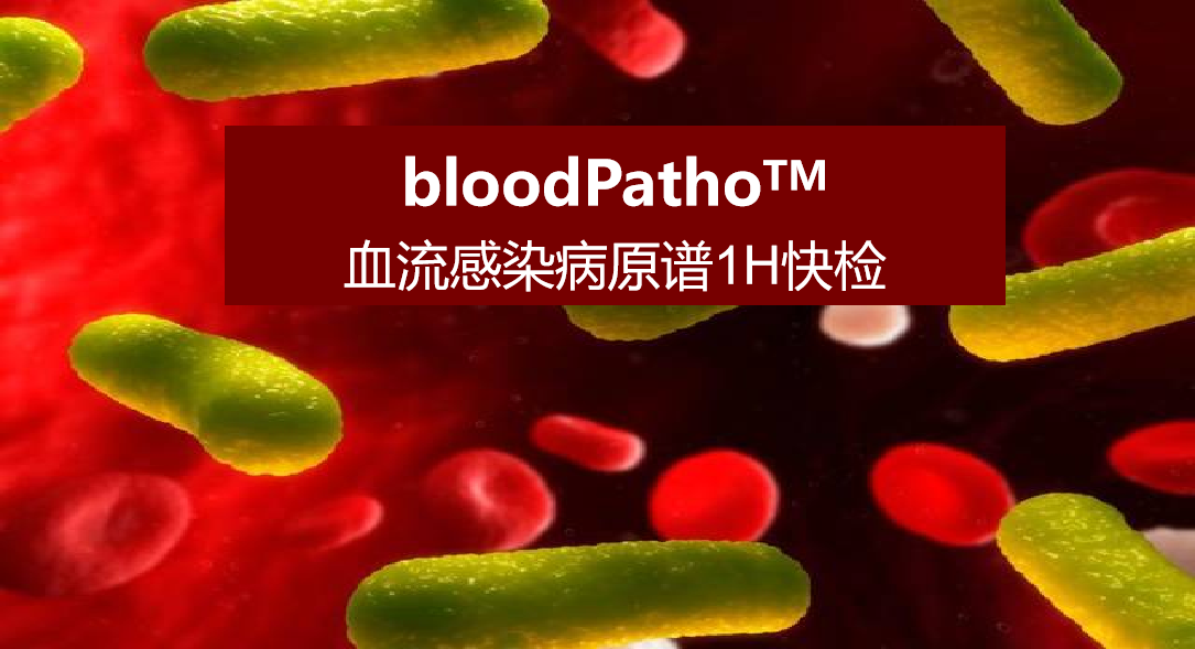 bloodPatho，血流感染病原譜