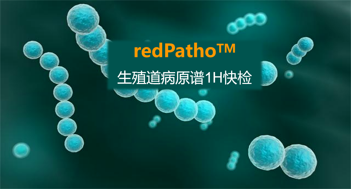 redPatho，生殖道感染病原譜