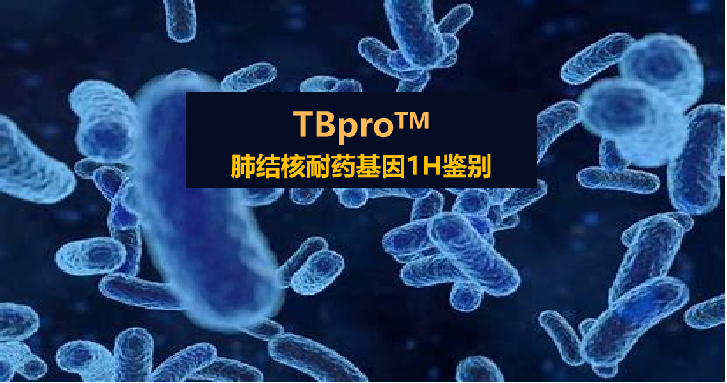 TBpro，結(jié)核菌耐藥譜